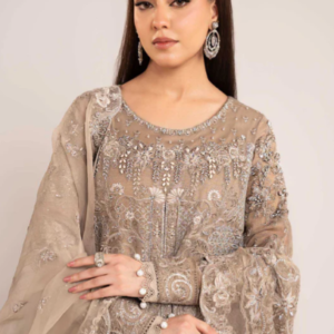 3 Piece Embroidered Net Suit